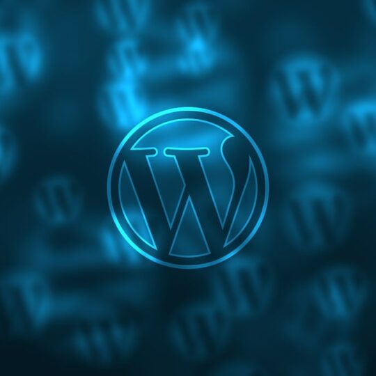 WordPress Plugins